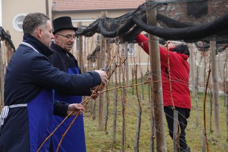 januar 2025 vicekova rez (152)